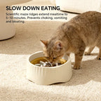 Slow Feeder Bowl — Anti-Gulp Maze Dish