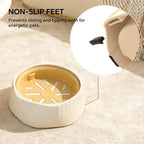 Slow Feeder Bowl — Anti-Gulp Maze Dish