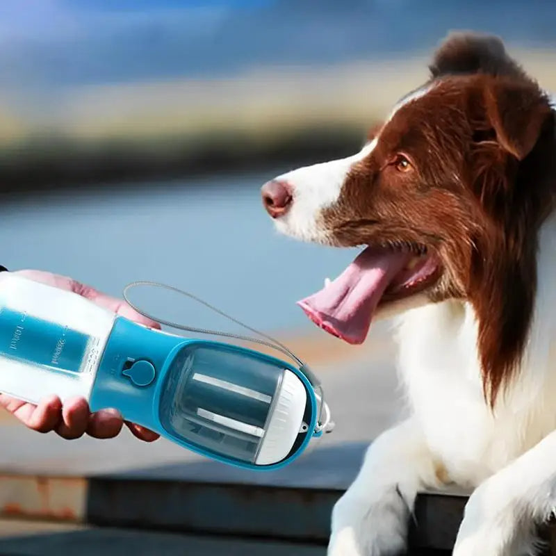 d2bba04fc2755a8fdcb540225d5cd5d