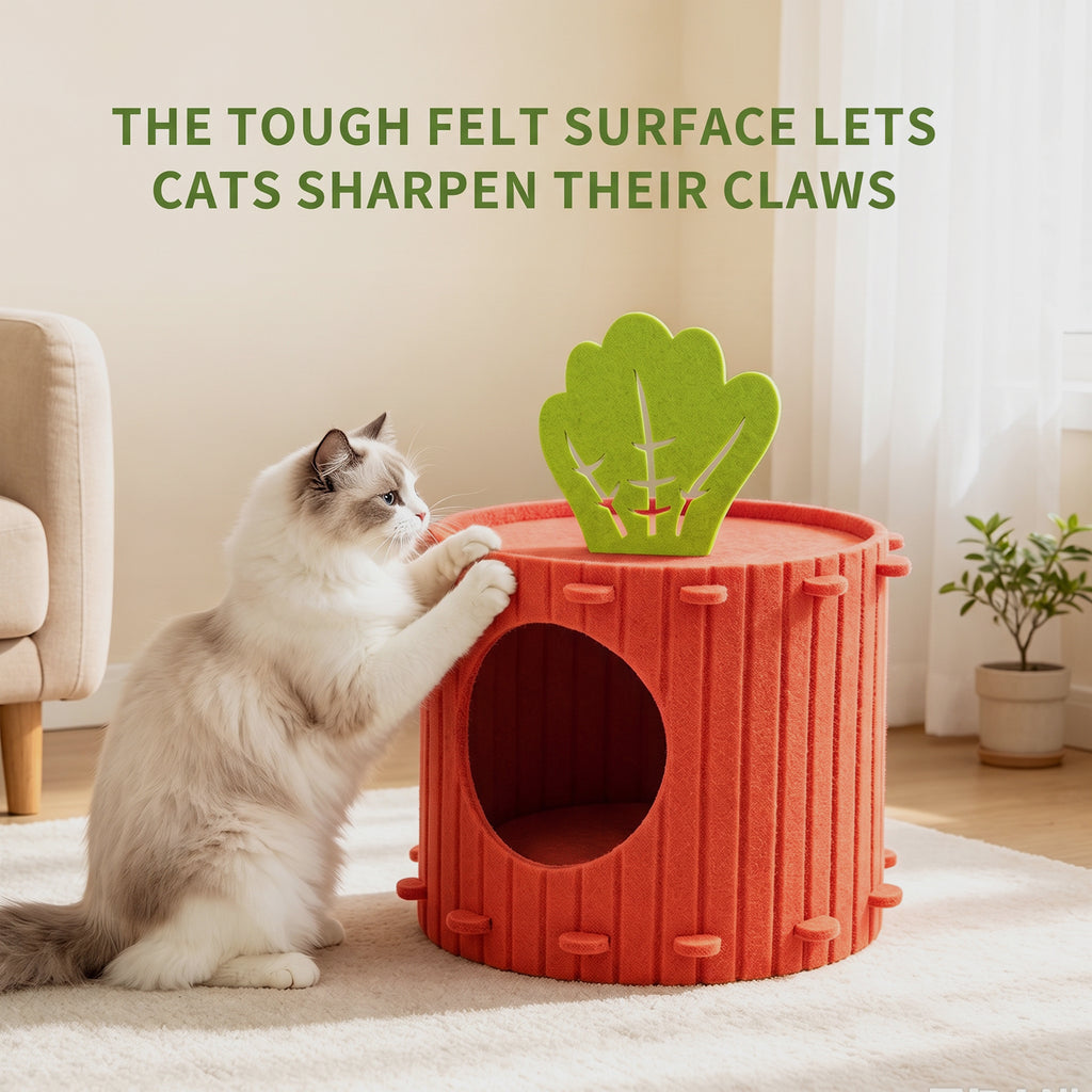 Cat Cave Bed — Enclosed Felt Hideaway for Indoor Cats