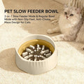 Slow feeder bowl dual mode maze dish