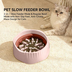 Slow Feeder Bowl — Anti-Gulp Maze Dish