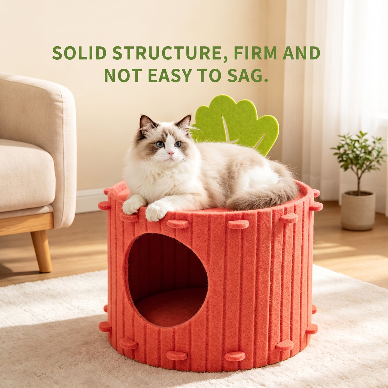 Cat Cave Bed — Enclosed Felt Hideaway for Indoor Cats