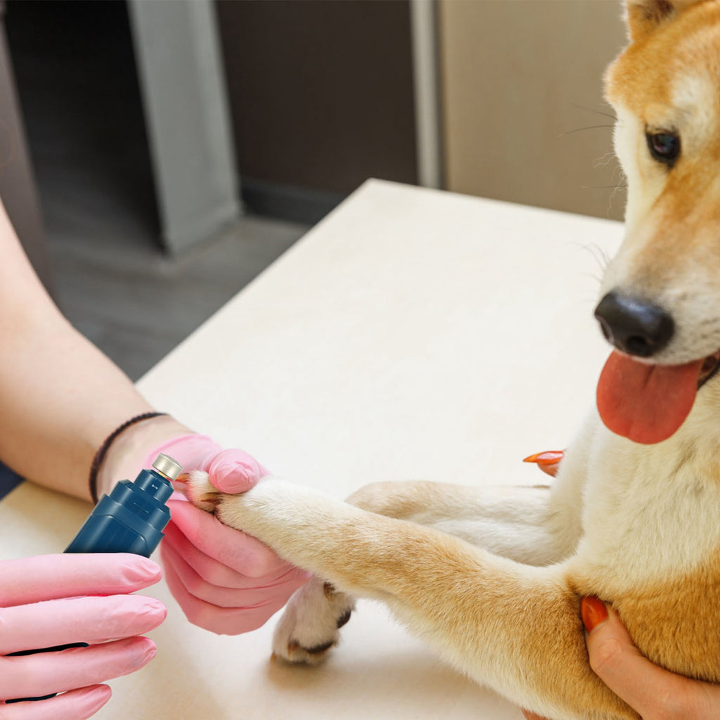 Electric Pet Nail Grinder — Quiet Rechargeable Paw Trimmer
