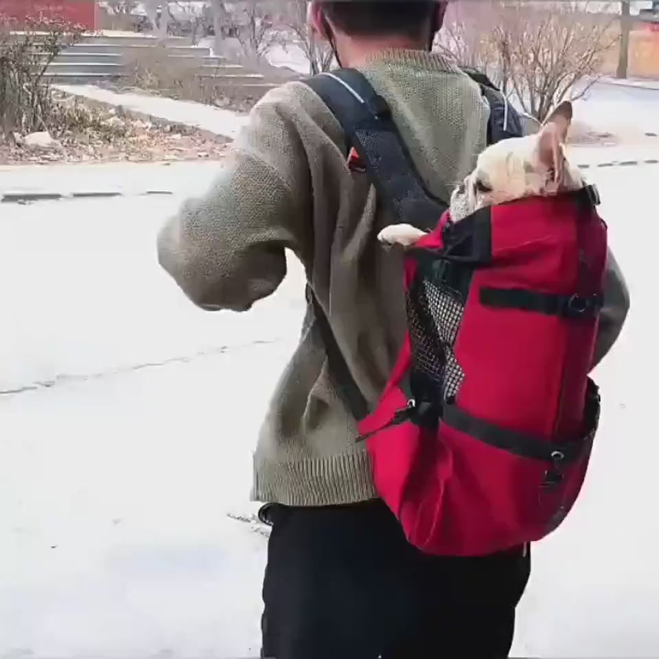 Dog Carrier Backpack — Breathable Travel Pack for Small Dogs & Cats