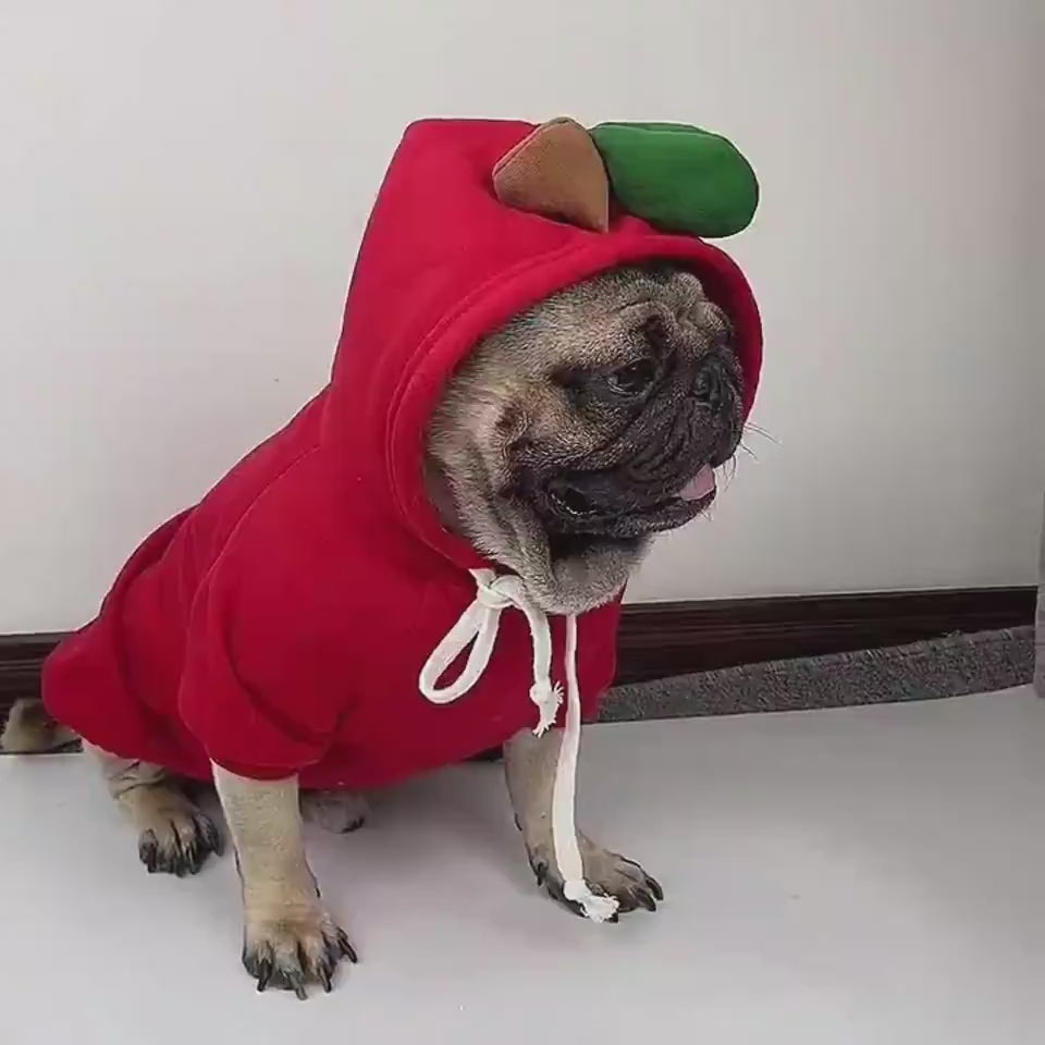Cute Fruit Dog Clothes For Small Dogs Hoodies Winter Warm Fleece Pet Clothing Puppy Cat Costume Coat For French Chihuahua Outfit