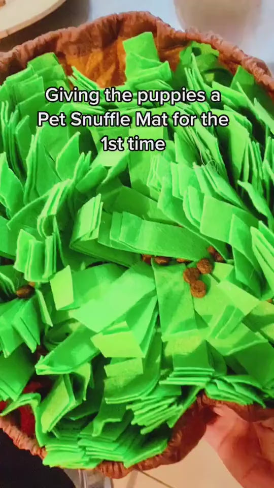 Snuffle Mat for Dogs — Foraging Enrichment Puzzle Feeder