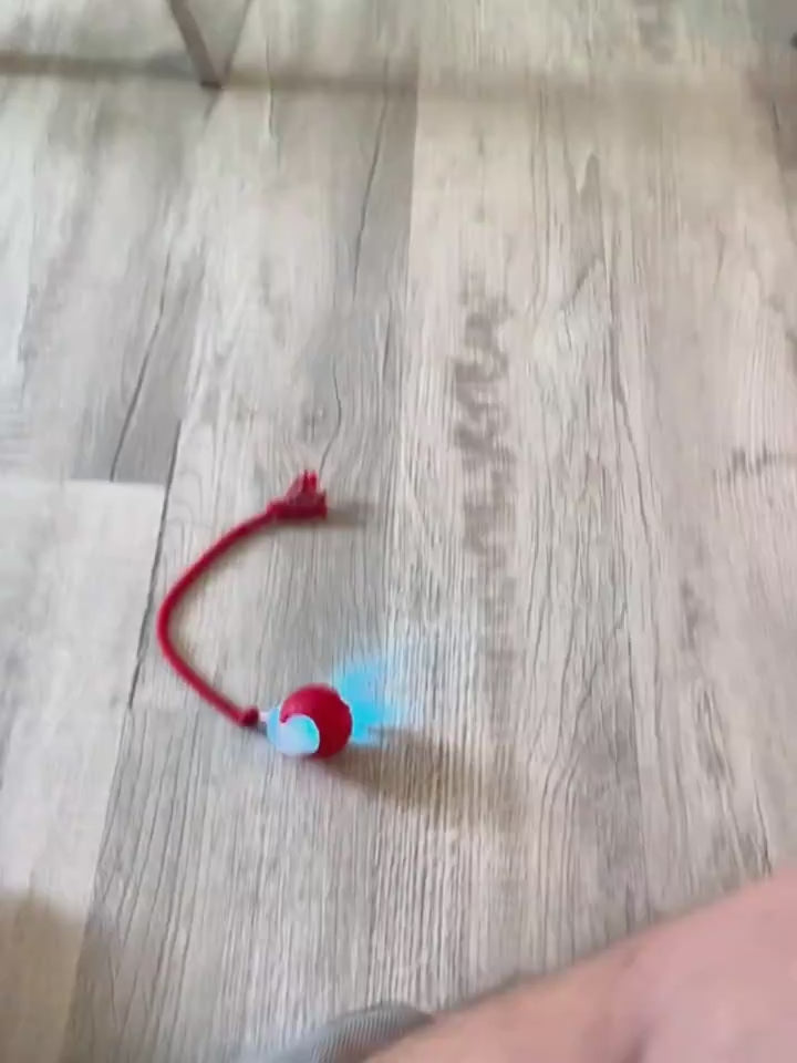 Interactive Cat Toy Ball Super Drive Cat Rolling Ball