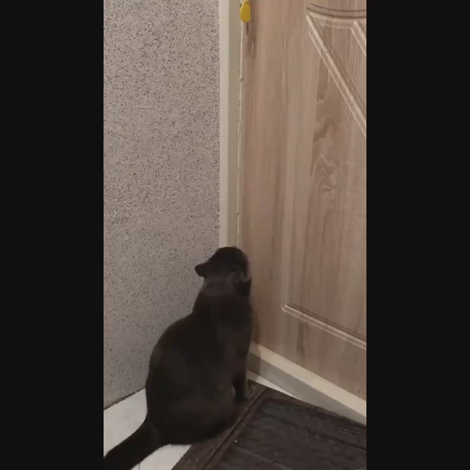 Pet Robot Amusing Cat With Smart Toys
