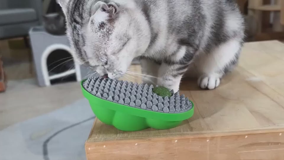Catnip Toys Balls That Stick On Wall Pet Massage Brush Cat Toy Ball  Catnip Wall Balls For Cats Lick Cat Face Scratchers  Cat Self Groomer For Indoor Cats Cat Corner Brush Wall