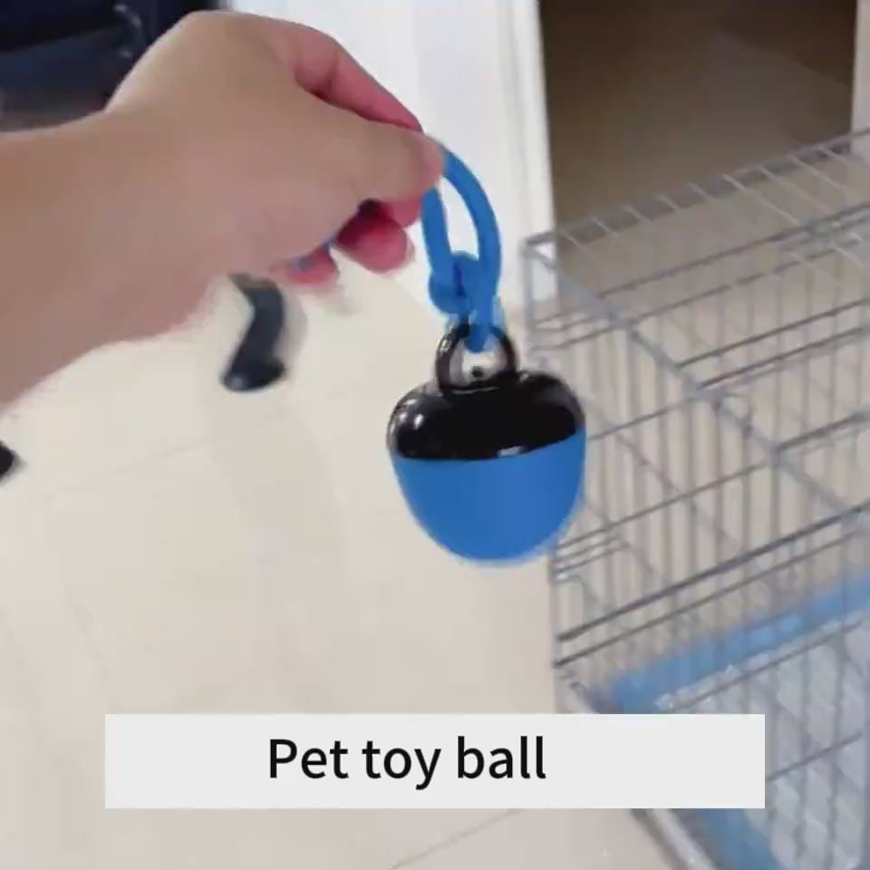 Auto-Bounce Ball — Interactive Play for Pets